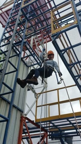 whatsapp image 2024 09 08 at 6.57.48 pm (1)